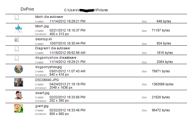 dirPrint Preview